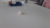 20220331_104610.jpg