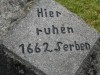 DSCN2694.JPG