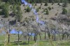 DSC_1538.JPG