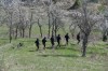 DSC_1609.JPG