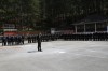 DSC_1768~2.JPG