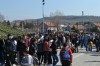 DSC_7284.JPG