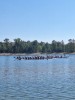IMG-20231002-WA0009.jpg